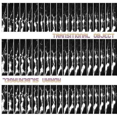 Cover for Adrian Silbernagel · Transitional Object (Paperback Book) (2019)