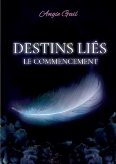 Cover for Angie Gail · Destins Lies (Paperback Book) (2022)