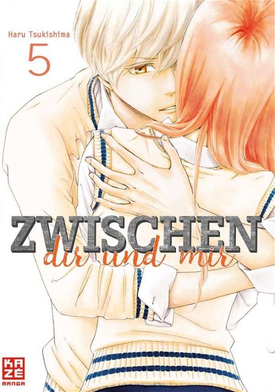 Cover for Tsukishima · Zwischen dir und mir 05 (Book)