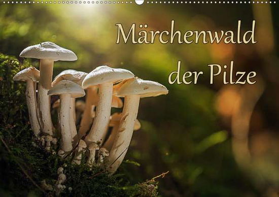 Cover for Radtke · Märchenwald der Pilze (Wandkalen (Book)