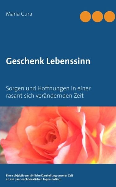 Cover for Cura · Geschenk Lebenssinn (Bog) (2017)