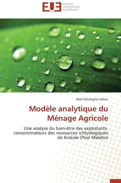 Cover for Abel Kutangila Lufutu · Modèle Analytique Du Ménage Agricole: Une Analyse Du Bien-être Des Exploitants-consommateurs Des Ressources Ichtyologiques De Kinkole (Pool Malebo) (French Edition) (Paperback Book) [French edition] (2018)