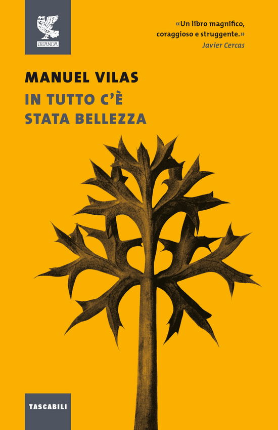 Cover for Manuel Vilas · In Tutto C'e Stata Bellezza (Buch)