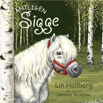 Cover for Lin Hallberg · BUS - Brobyungarnas shettisar: Äntligen Sigge (Lydbog (MP3)) (2014)
