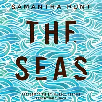 The Seas - Samantha Hunt - Musiikki - TANTOR AUDIO - 9798200384518 - tiistai 19. helmikuuta 2019