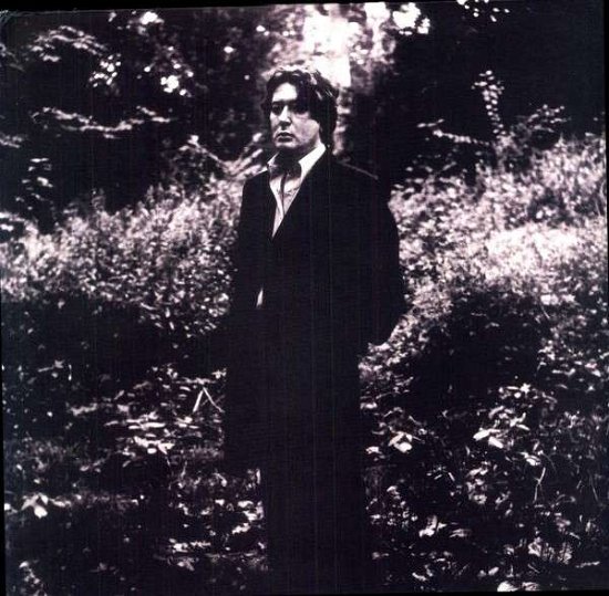 Cover for Alain Bashung · L'imprudence (LP) [180 gram edition] (2022)