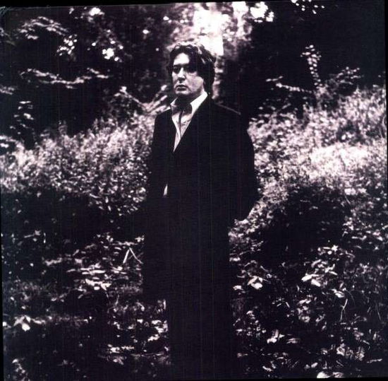 L'imprudence - Alain Bashung - Musik - BARCLAY - 0044006531519 - 25. März 2022