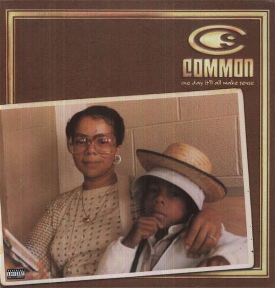 Cover for Common · One Day It'll All (LP) (2003)