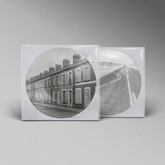 Cover for Manic Street Preachers · Critical Thinking (LP) [Limited Picture Disc edition] (2025)