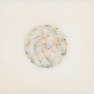 Cover for Lotte Kestner · Off White (LP) (2017)