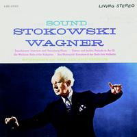 Cover for Stokowski And Wagner/ Symphony Of The Air Chorus · The Sound Of Stokowski And Wagner (VINYL) (2019)