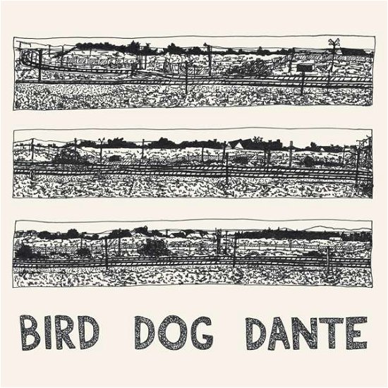 Cover for John Parish · Bird Dog Dante (LP) [Standard edition] (2018)