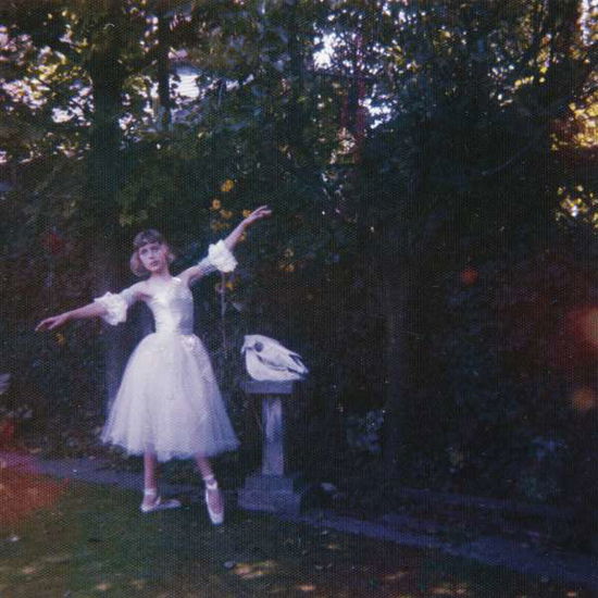 Cover for Wolf Alice · Visions of a Life (LP) [180 gram edition] (2017)