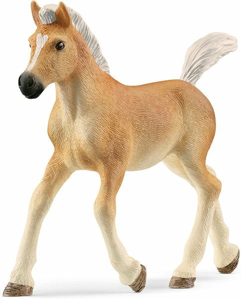 Schleich Horse Club Halflingerveulen 13951 - Schleich - Merchandise - Schleich - 4059433557519 - 