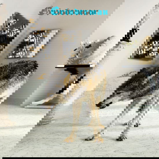 Cover for Grinderman · Grinderman 2 (CD) (2025)