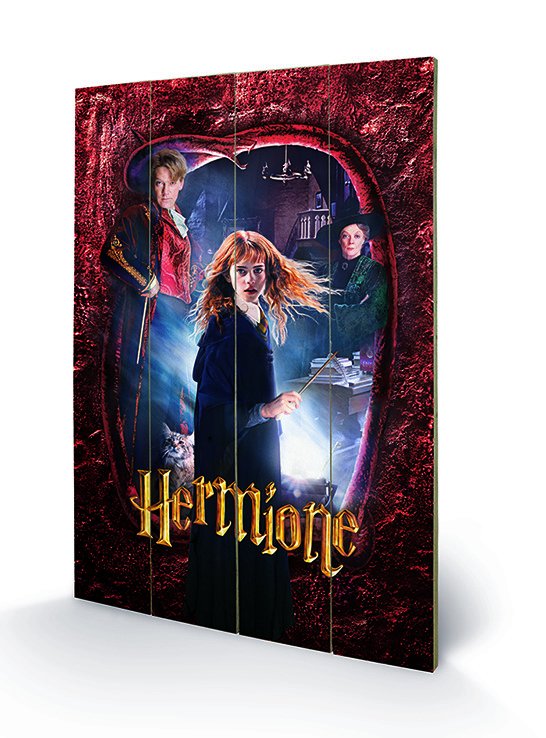 Cover for Wood Poster · HARRY POTTER - Wood Print 40X59 - Hermione (MERCH) (2019)