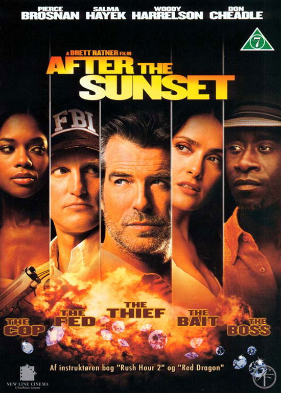 Cover for After the Sunset (DVD) (2005)