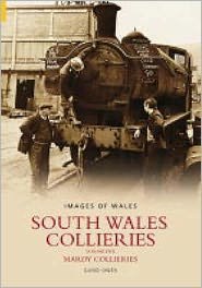Cover for David Owen · South Wales Collieries Volume 5: Mardy Collieries (Pocketbok) (2004)