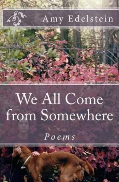 Cover for Amy Edelstein · We All Come from Somewhere (Paperback Book) (2016)