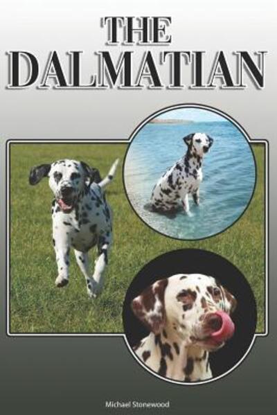 The Dalmatian : A Complete and Comprehensive Owners Guide to : Buying, Owning, Health, Grooming, Training, Obedience, Understanding and Caring for Your Dalmatian - Michael Stonewood - Książki - Independently published - 9781091967519 - 29 marca 2019