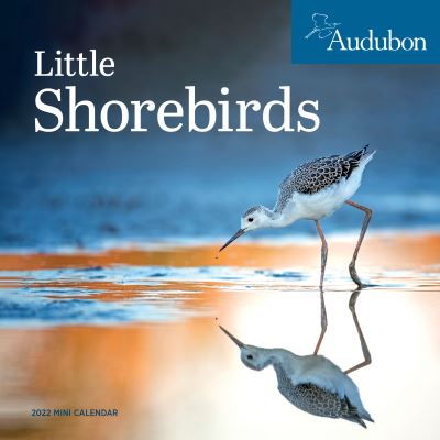 2022 Audubon Little Shorebirds Mini - National Audubon Society - Merchandise - Workman Publishing - 9781523514519 - October 19, 2021