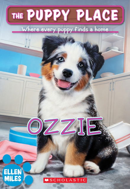 Cover for Ellen Miles · Ozzie (The Puppy Place #70) - The Puppy Place (Pocketbok) (2025)