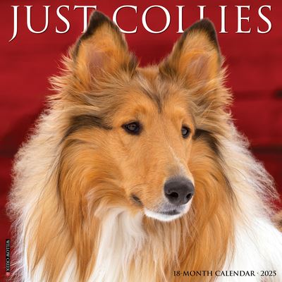 Willow Creek Press · Just Collies 2025 12 X 12 Wall Calendar (Kalender) (2024)