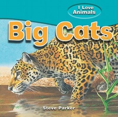 Cover for Steve Parker · Big cats (Book) (2010)