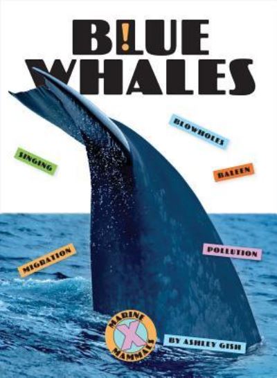 Blue Whales - Ashley Gish - Books - Creative Company, The - 9781628327519 - August 20, 2019