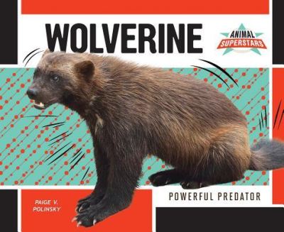 Cover for Paige V Polinsky · Wolverine (Hardcover Book) (2016)