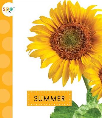 Summer - Mari C Schuh - Books - AMICUS - 9781681515519 - 2019