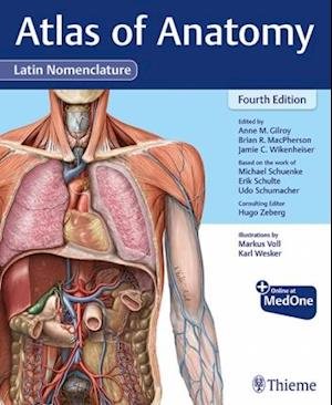 Cover for Anne M Gilroy · Atlas of Anatomy, Latin Nomenclature (Gebundenes Buch) (2021)