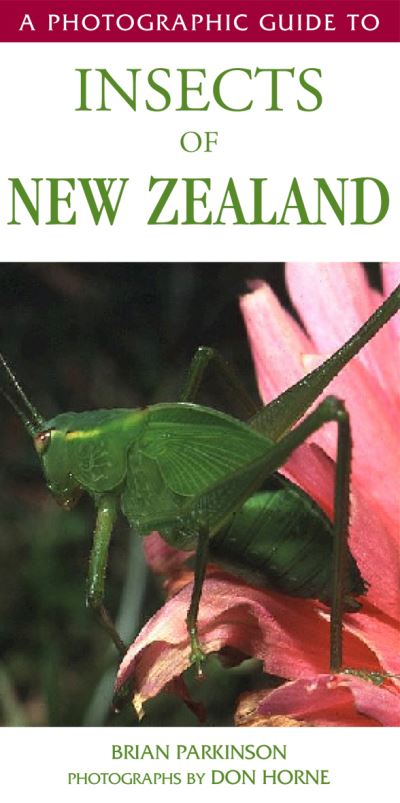 Cover for Horne, B Parkinson &amp; D · Photographic Guide To Insects Of New Zealand (Paperback Book) (2007)