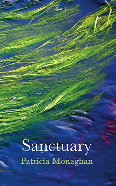 Cover for Patricia Monaghan · Sanctuary (Paperback Book) (2013)