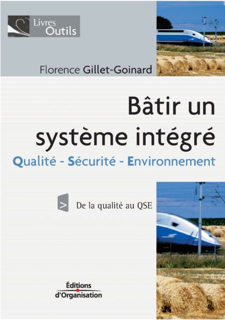 Batir un systeme integre - Florence Gillet-Goinard - Books - Eyrolles Group - 9782708136519 - 2006