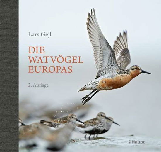 Cover for Gejl · Die Watvögel Europas (Bok)