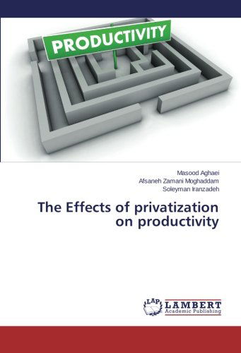Cover for Soleyman Iranzadeh · The Effects of Privatization on Productivity (Paperback Book) (2014)