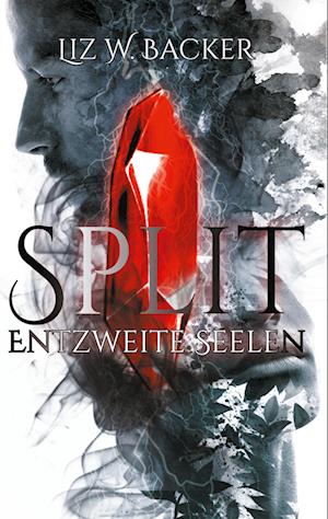 Cover for Liz. W. Backer · Split (Paperback Book) (2021)