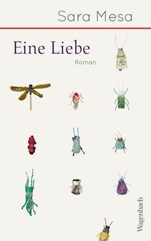 Cover for Sara Mesa · Eine Liebe (Bok) (2022)