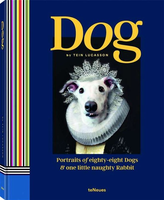Cover for Tein Lucasson · Dog: Portraits of Eighty-Eight Dogs and One Little Naughty Rabbit - Eighty-eight (Hardcover Book) (2020)