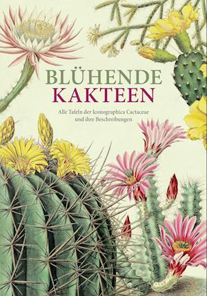 Cover for Toni Gürke · Blühende Kakteen (Hardcover Book) (2022)