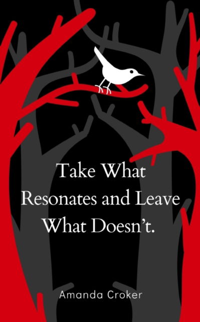 Cover for Amanda Croker · Take What Resonates and Leave What Doesn't (Paperback Book) (2023)