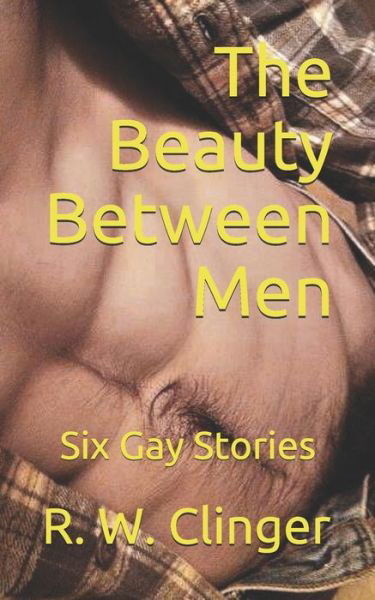 Cover for R W Clinger · The Beauty Between Men (Pocketbok) (2020)