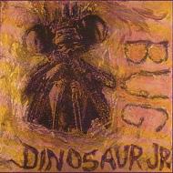 Cover for Dinosaur Jr · Bug (CD) [Enhanced, Remastered edition] (2005)