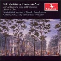 Cover for Arne / Zadori / Bentch / Savaria · Solo Cantatas (CD) (2006)
