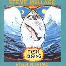 Fish Rising - Steve Hillage - Musik - VIRGIN - 0094637341520 - 13. februar 2007