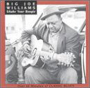 Cover for Big Joe Williams · Shake Your Boogie (CD) (1993)