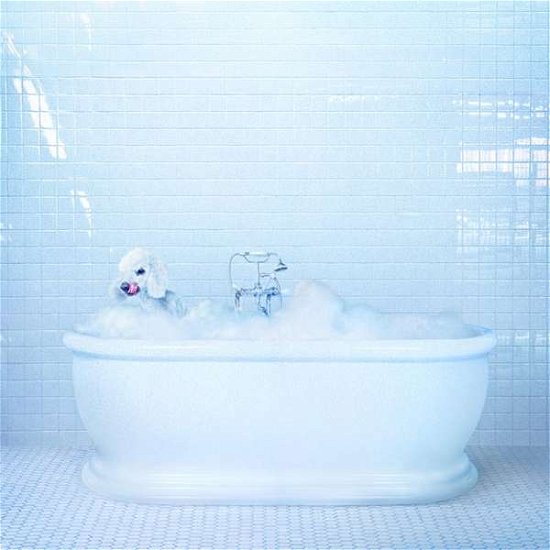 Cover for Frankie Cosmos · Vessel (CD) (2018)