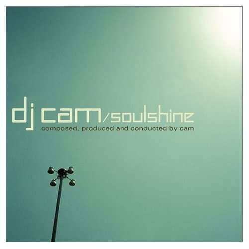 Soulshine - DJ Cam - Musik - KOCH - 0099923849520 - 30 juni 1990