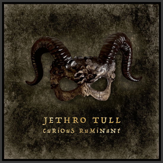 Cover for Jethro Tull · Curious Ruminant (CD) (2025)